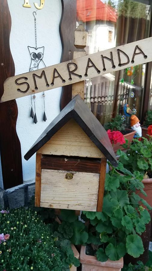 Vila Smaranda Predeal Ngoại thất bức ảnh
