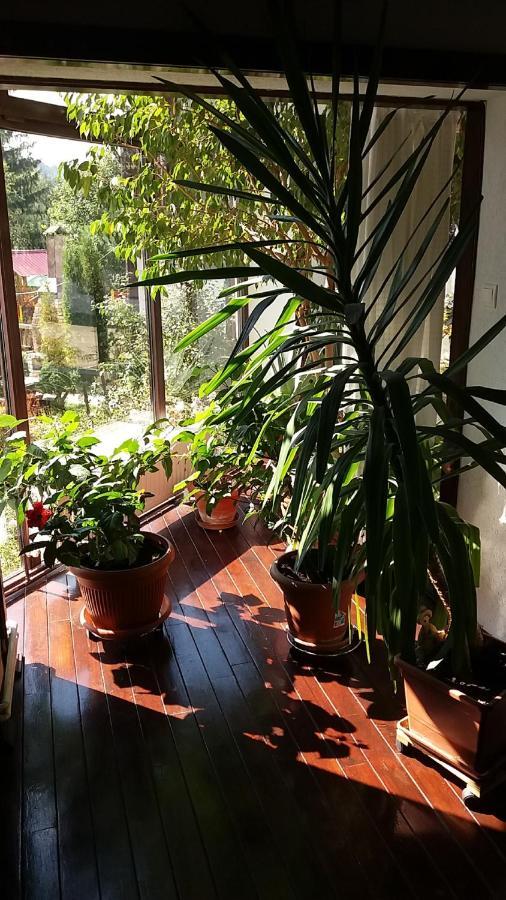 Vila Smaranda Predeal Ngoại thất bức ảnh